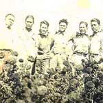 Photo of Santiago and Friends in the Flower Fields in Lompoc, CA